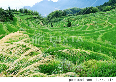 photo of rural terraced fields, China, Zhejiang Province photo of rural terraced fields, China, Zhejiang Province 125572417