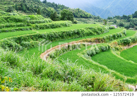 photo of rural terraced fields, China, Zhejiang Province photo of rural terraced fields, China, Zhejiang Province 125572419