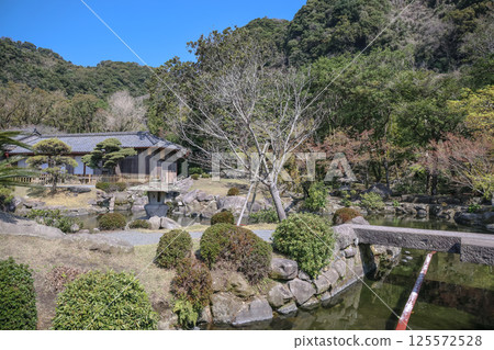 March 23 2025 a Traditional Japanese Garden with Wooden Architecture, Japan 125572528