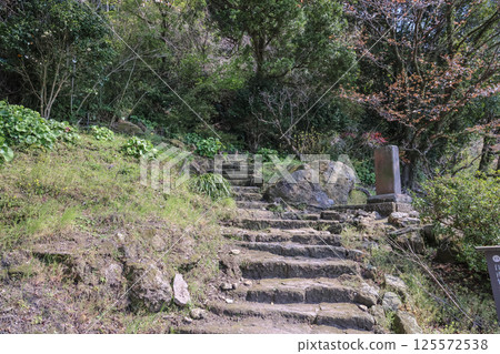 March 23 2025 Traditional Japanese Stone Steps in a Serene Garden Setting with Trees, Japan 125572538