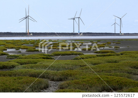 My beloved Taiwan (Gaomei Wetlands is a tidal flat of about 300 hectares designated by the International Union for Conservation of Nature.) Taichung City, Taiwan My beloved Taiwan (Gaomei Wetlands is a tidal flat of about 300 hectares designated by the International Union for Conservation of Nature.) Taichung City, Taiwan 125572617