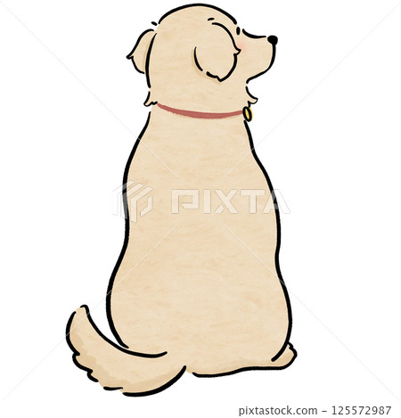黃金獵犬的後視圖 黃金獵犬的後視圖 125572987
