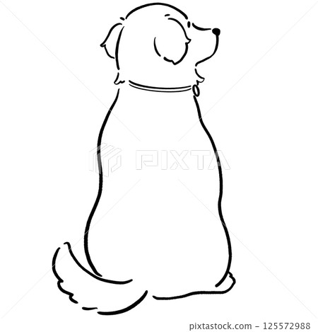 黃金獵犬的後視圖黑色和白色 黃金獵犬的後視圖黑色和白色 125572988