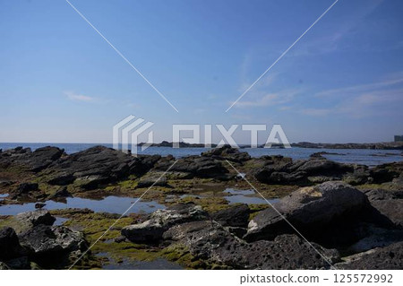 三浦半島海宇展望台 三浦半島海宇展望台 125572992