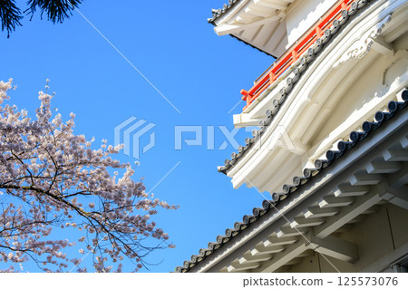 秋田市千秋公園、久保田城、大隅櫓和藍天 125573076