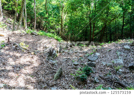 [Nationally designated historic site] Kanjoyama Castle, Otemon Gate ruins, Aioi City, Hyogo Prefecture 125573159