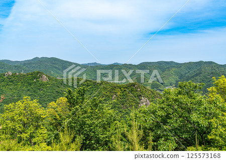 [國家指定史蹟] 錦城山城：從兵庫縣相生市城址1眺望 125573168