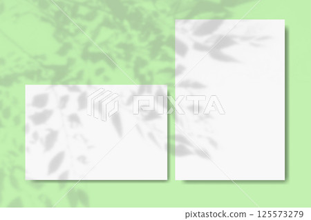 Natural light casts shadows from wildflowers of horizontal and vertical sheets of white textured paper against a green wall background. Mock up with an overlay of plant shadows. 125573279