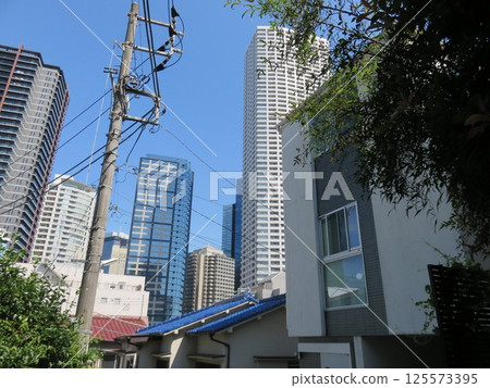 Scenery in Tokyo 125573395