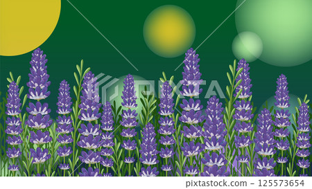 Lavender Field with Glowing Bokeh Background Lavender Field with Glowing Bokeh Background 125573654