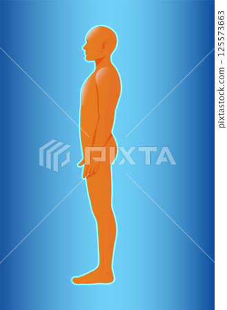 Human Body Side Profile Vector Illustration 125573663