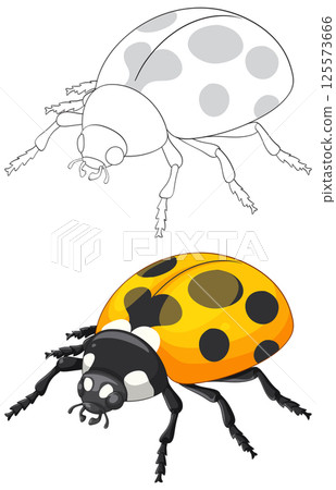 Detailed Ladybug Vector Illustration with Outline 125573666