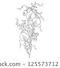 Linear Illustration of a Sprig of Flowering Sweet Pea 125573712