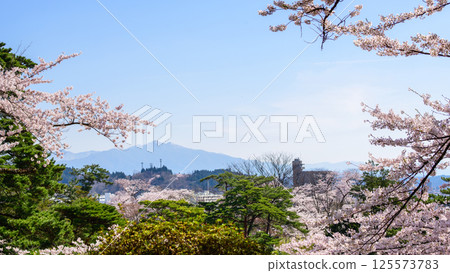 Spring at Senshu Park in Akita City, with Mount Taihei in the distance 125573783