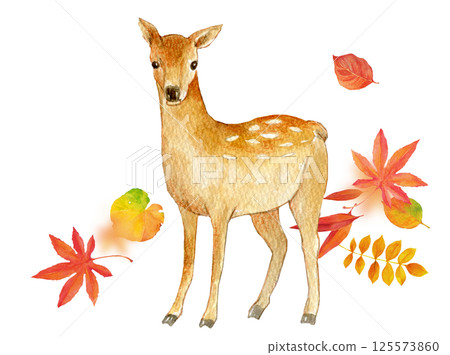 水彩插圖秋天圖像鹿和秋天的落葉 125573860