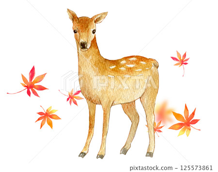 水彩插圖秋天圖像鹿和秋天的落葉 125573861