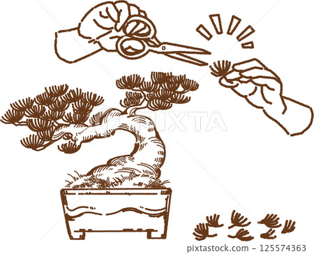 盆景葉子的切割和護理的線條畫插圖 盆景葉子的切割和護理的線條畫插圖 125574363