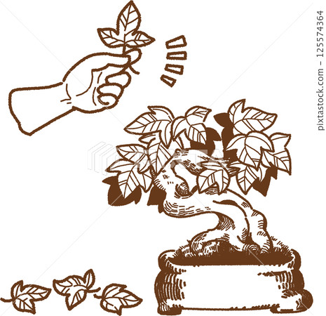 採摘樹葉和照料盆景樹的線條畫插圖 125574364