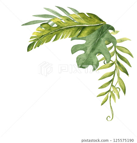 Tropical Leaves Corner Composition. Bouquet from Eucalyptus, Monstera and Banana Palm with Liana. Watercolor Hand drawn botanical illustration isolated on white background. For cards, invitations. 125575190