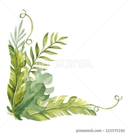 Tropical Leaves Corner Bouquet, Composition. Eucalyptus, Monstera and Banana Palm with Liana. Watercolor Composition. Hand drawn botanical illustration isolated on white background. For cards 125575192