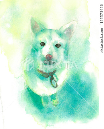 Terrier mix dog transparent watercolor 125575426