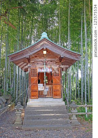 Amatsu Shrine and Nunagawa Shrine (Itoigawa) 125575534