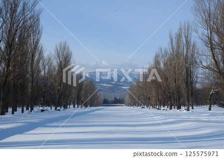 Mount Teine seen from Teine Maeda Forest Park in midwinter 125575971