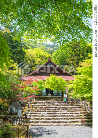 勝法寺的新綠(三重縣伊鍋市) 勝法寺的新綠(三重縣伊鍋市) 125575988