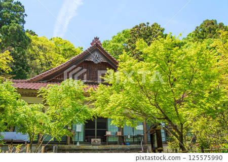 勝法寺的新綠（三重縣伊鍋市） 125575990