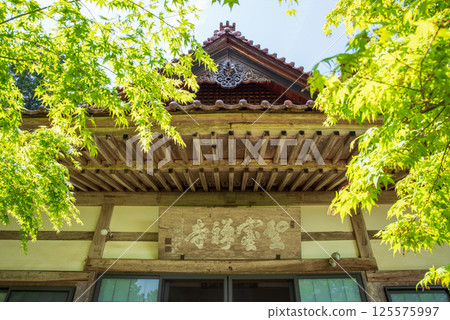 Fresh greenery at Shohoji Temple (Inabe City, Mie Prefecture) 125575997