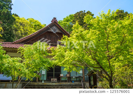 勝法寺的新綠（三重縣伊鍋市） 125576001