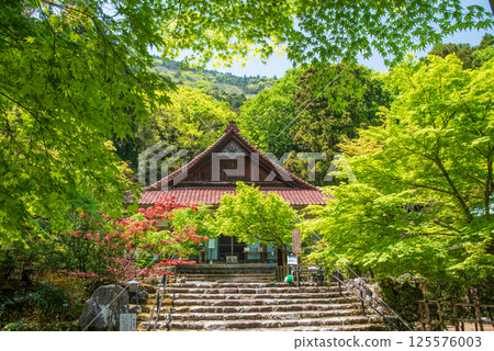 勝法寺的新綠(三重縣伊鍋市) 勝法寺的新綠(三重縣伊鍋市) 125576003