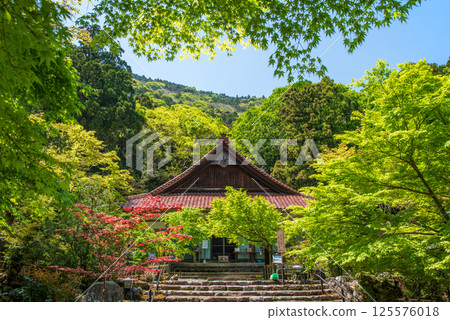 Fresh greenery at Shohoji Temple (Inabe City, Mie Prefecture) 125576018