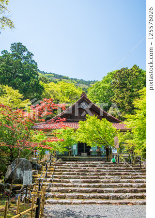Fresh greenery at Shohoji Temple (Inabe City, Mie Prefecture) 125576026