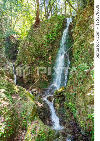 Fresh greenery at Shohoji Temple Narutani Falls (Inabe City, Mie Prefecture) 125576039