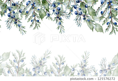 Watercolor foliage border in sage green with holly leaves and juniper twigs isolated. Elegant botanical greenery texture for banners, templates, and invitations. Soft pastel vines repeated background. 125576272