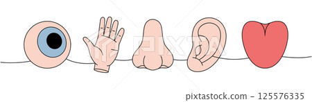 Five human senses one line colored continuous drawing. Vision, smell, hearing, touch, taste. Eye, hand, nose, tongue continuous one line illustration. 125576335