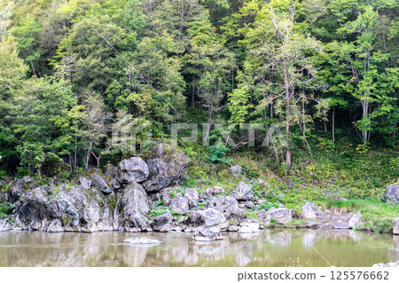 River and forest scenery at Kamuikotan River and forest scenery at Kamuikotan 125576662