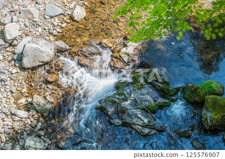 Kiyotaki River, Kyoto City 125576907