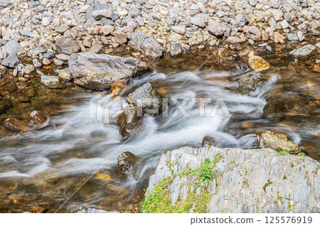 Kiyotaki River, Kyoto City 125576919