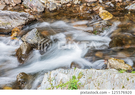Kiyotaki River, Kyoto City 125576920