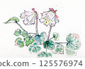 紫丁香花的手繪插圖 125576974