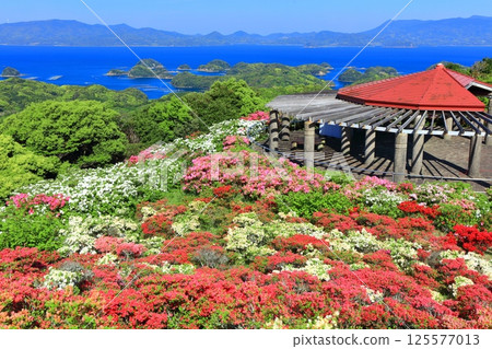 [長崎縣] 晴天的長串山公園和杜鵑花盛開（長串山杜鵑花節） 125577013