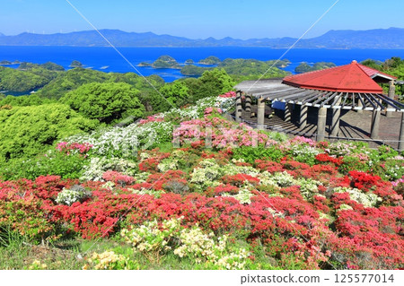 [長崎縣] 晴天的長串山公園和杜鵑花盛開（長串山杜鵑花節） 125577014