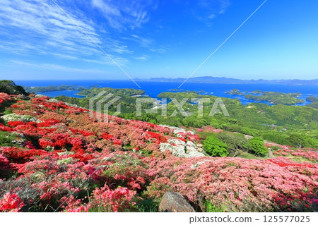 [Nagasaki Prefecture] Nagakushiyama Park on a sunny day and azaleas in full bloom (Nagakushiyama Azalea Festival) 125577025