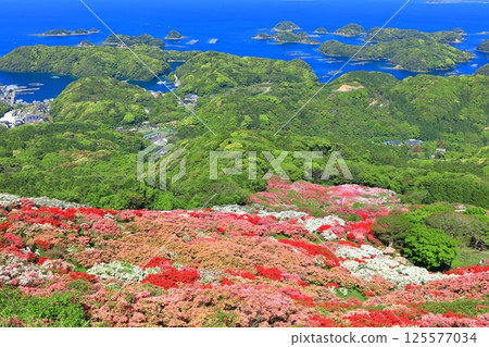 [Nagasaki Prefecture] Nagakushiyama Park on a sunny day and azaleas in full bloom (Nagakushiyama Azalea Festival) 125577034