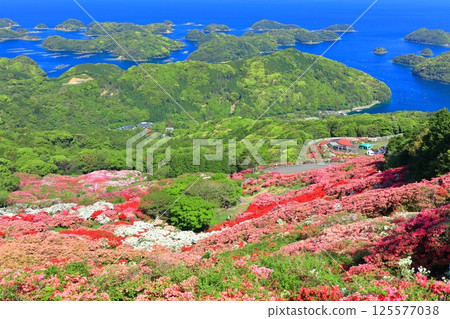 [Nagasaki Prefecture] Nagakushiyama Park on a sunny day and azaleas in full bloom (Nagakushiyama Azalea Festival) 125577038