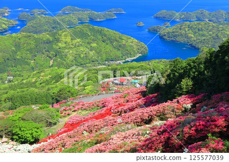 [Nagasaki Prefecture] Nagakushiyama Park on a sunny day and azaleas in full bloom (Nagakushiyama Azalea Festival) 125577039
