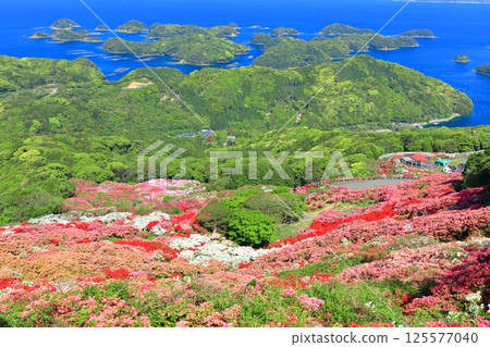 [Nagasaki Prefecture] Nagakushiyama Park on a sunny day and azaleas in full bloom (Nagakushiyama Azalea Festival) 125577040