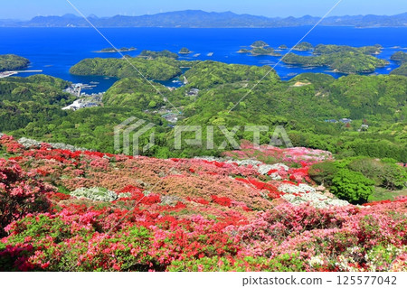 [長崎縣] 晴天的長串山公園和杜鵑花盛開（長串山杜鵑花節） 125577042